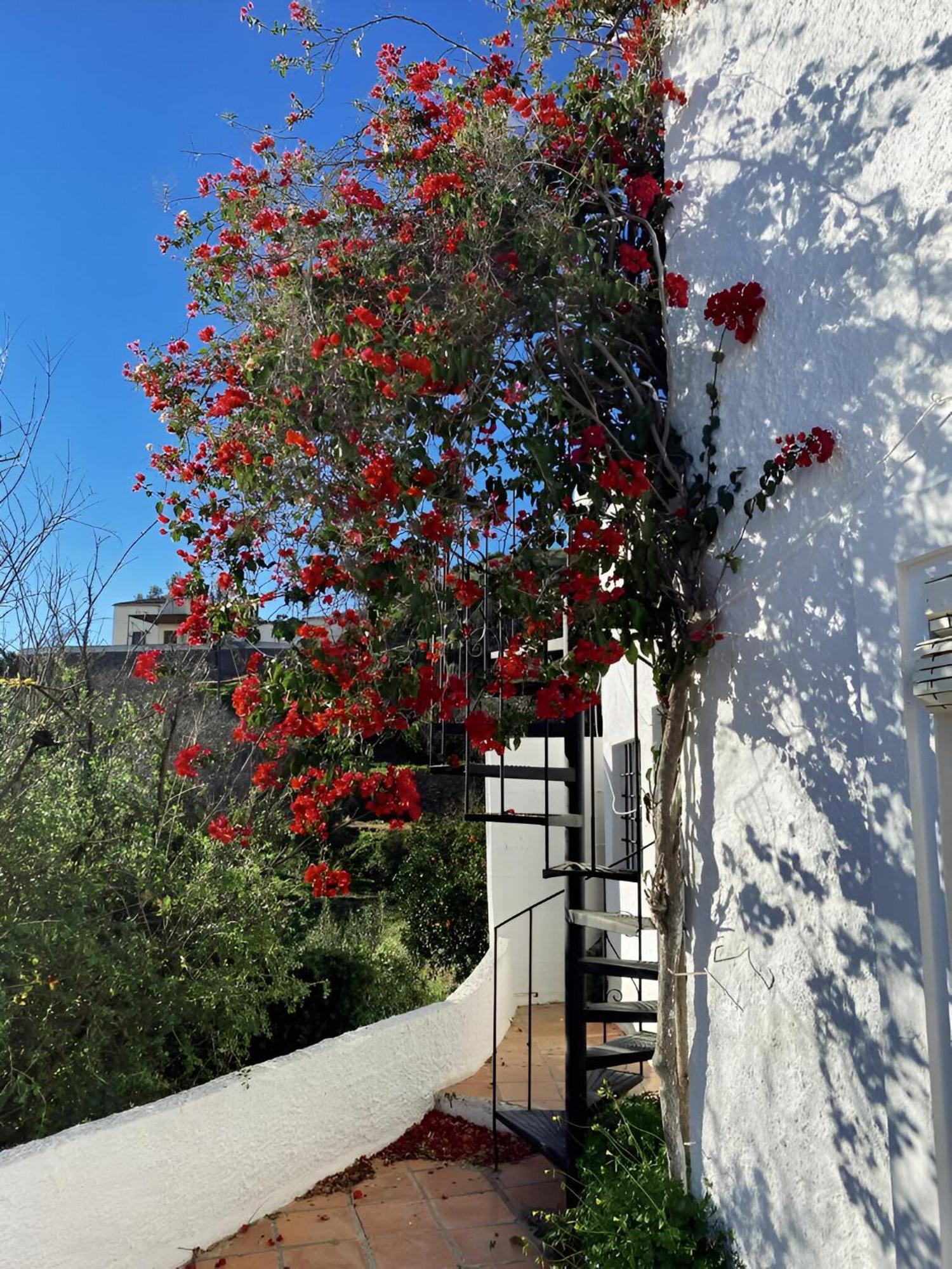 Вилла Cortijo De La Fuente Con Vistas Impresionantes Y Playas A 20 Minutos Бедар Экстерьер фото